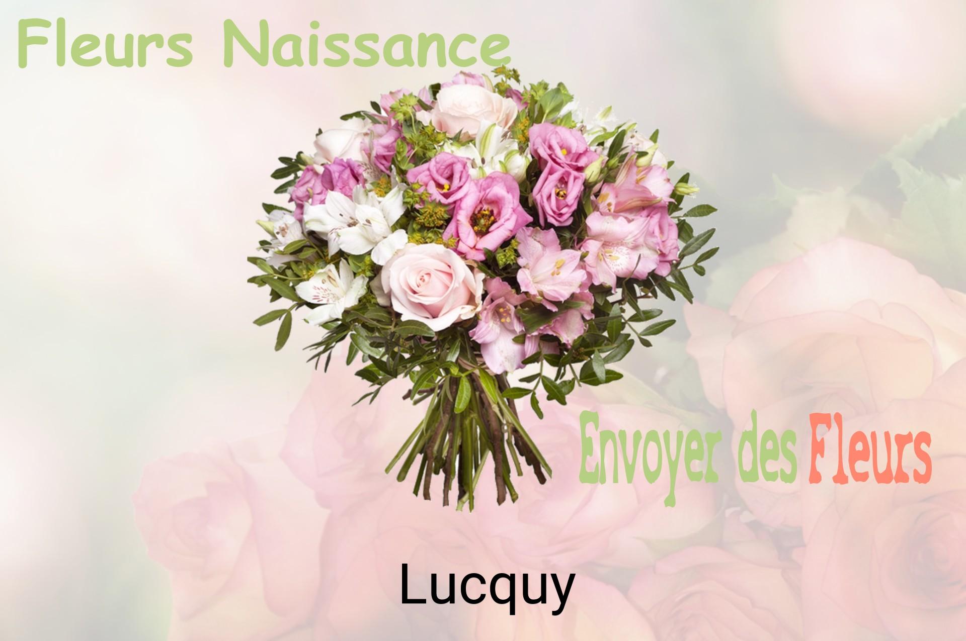 Bouquet de fleurs de naissance livré à Lucquy
